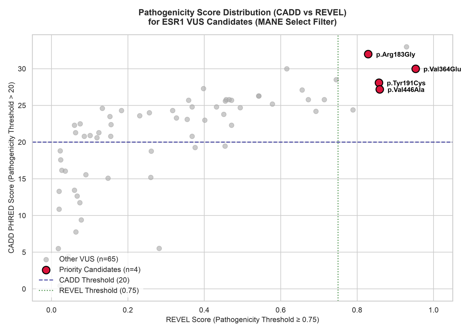CADD vs REVEL Correlation Plot - English